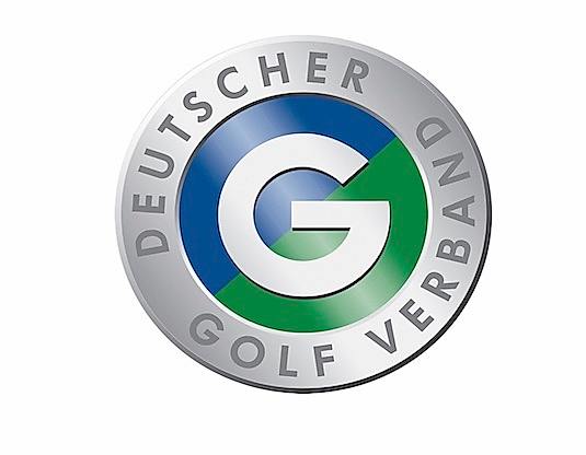 DGV Logo TEASER