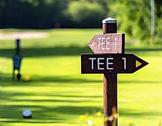 Tee 1 Teaser